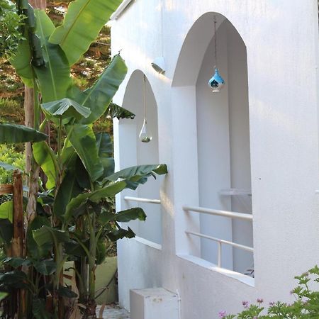 Carolina Apartments Crete Agia Pelagia Exteriör bild