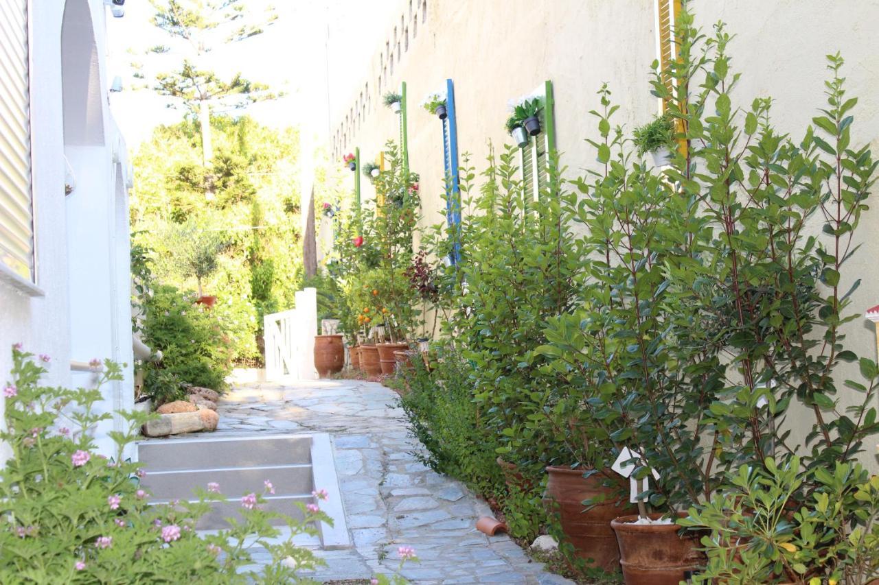 Carolina Apartments Crete Agia Pelagia Exteriör bild