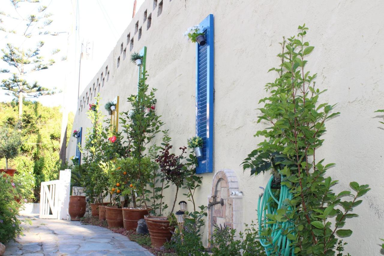 Carolina Apartments Crete Agia Pelagia Exteriör bild