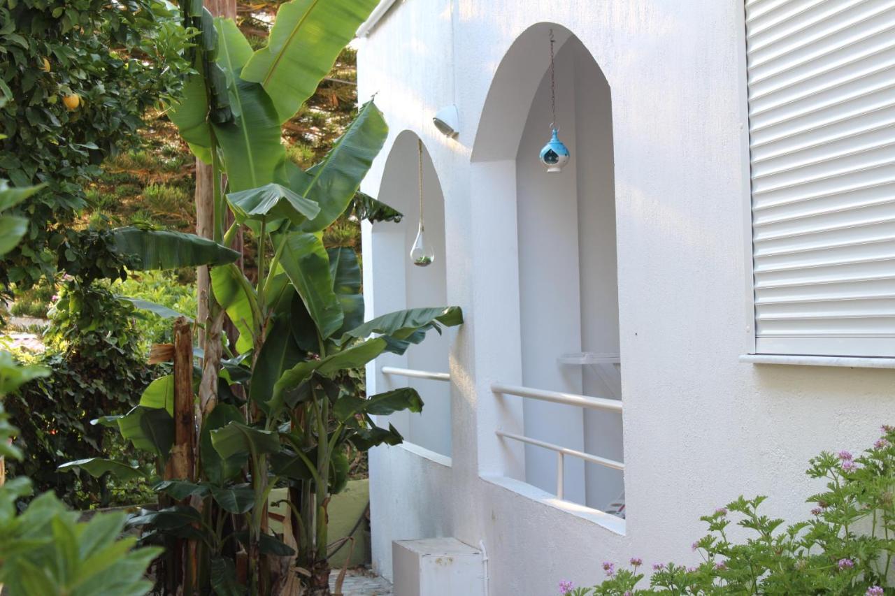Carolina Apartments Crete Agia Pelagia Exteriör bild